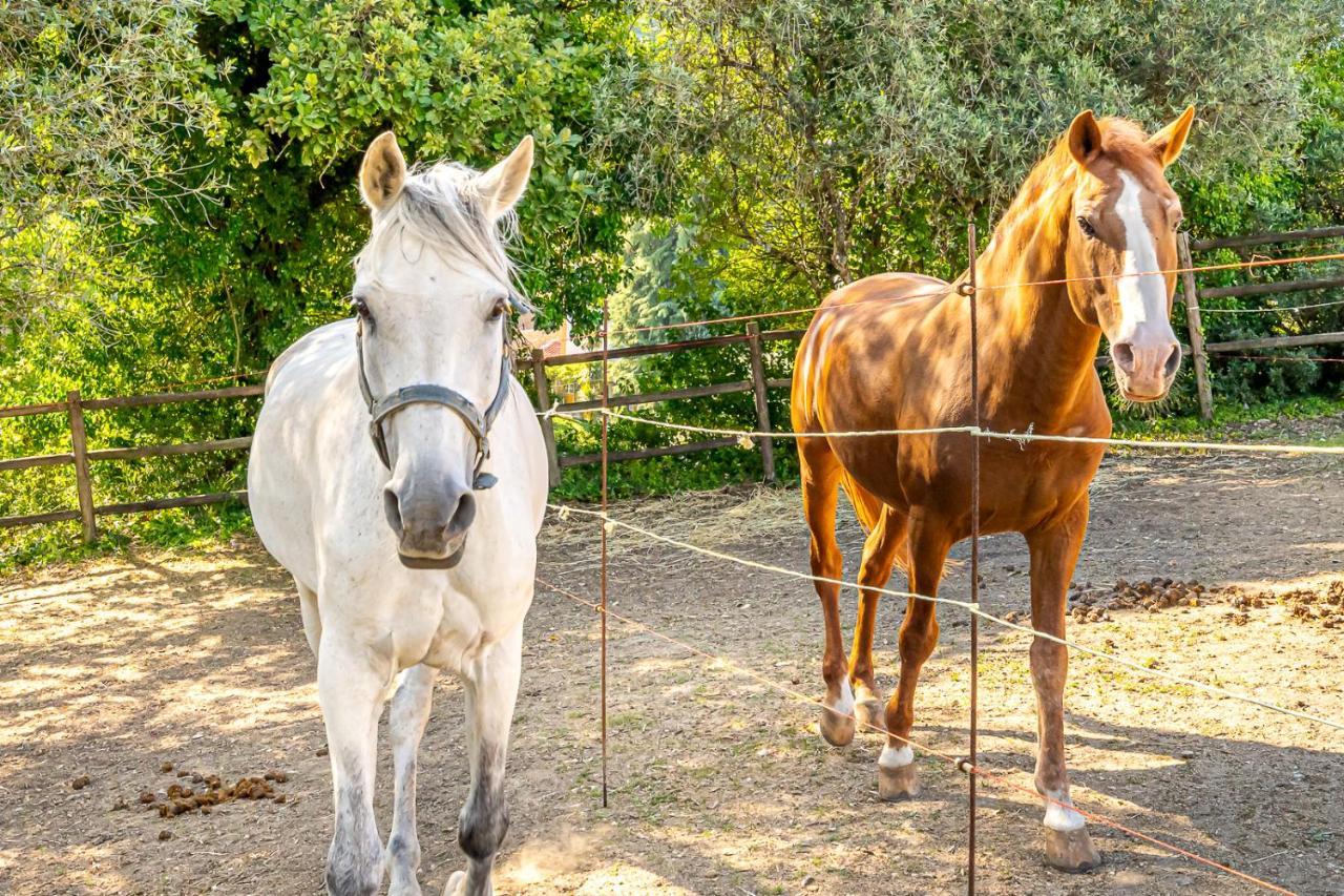 Quinta Do Boicao Βίλα Lisboa Εξωτερικό φωτογραφία